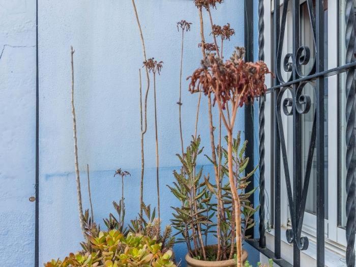 Apartamento Susillo Vacacional Sevilla Eksteriør bilde